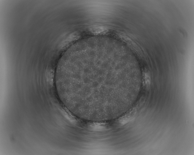 X0000110940664200907171609