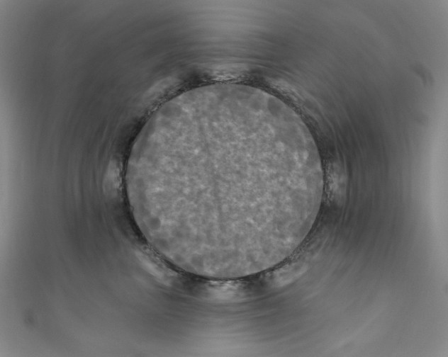 X0000110940667200907171609