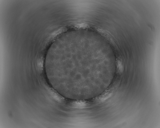 X0000110940668200907171609
