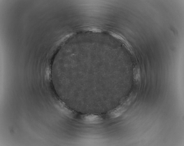 X0000110940669200907171609