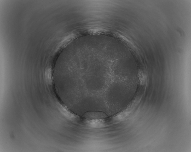 X0000110940670200907171609