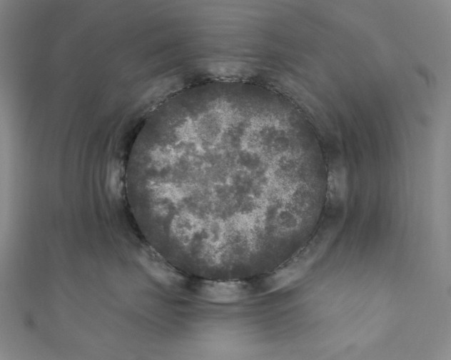 X0000110940671200907171609