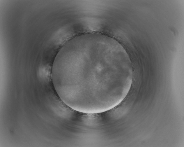 X0000110940672200907171609