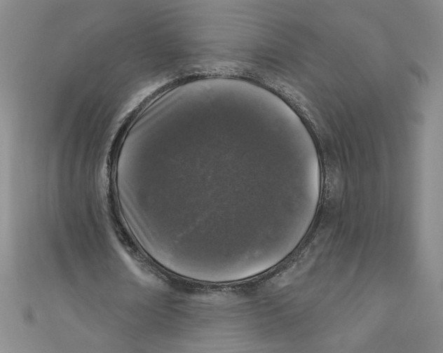X0000110940674200907171608