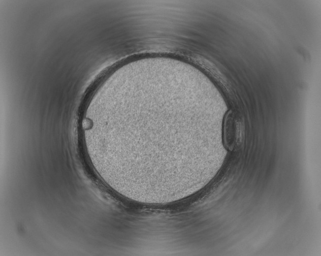X0000110940676200907171608