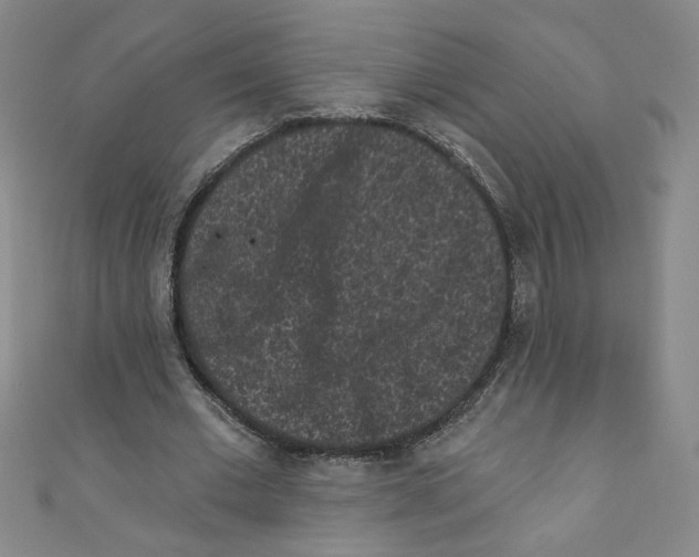 X0000110940677200907171608