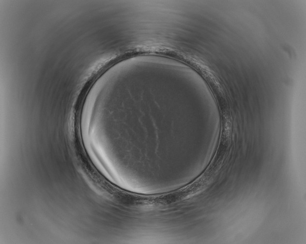 X0000110940678200907171608