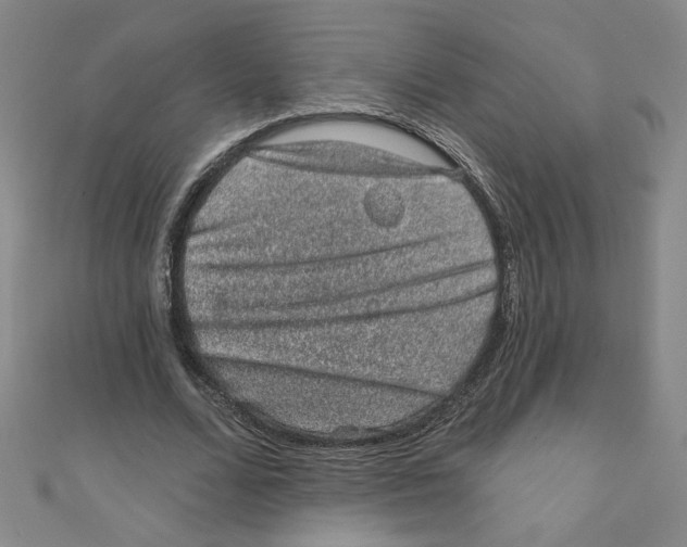 X0000110940680200907171608