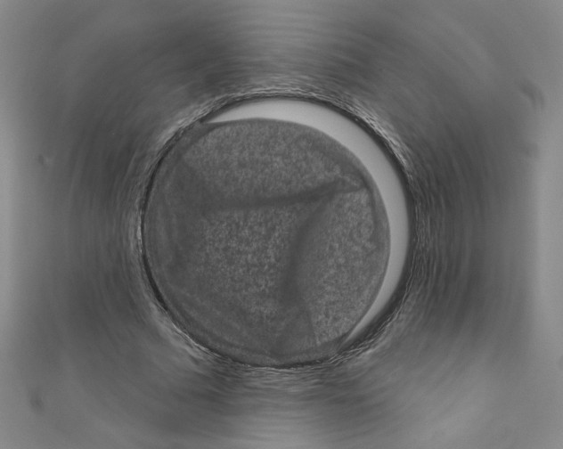 X0000110940681200907171608