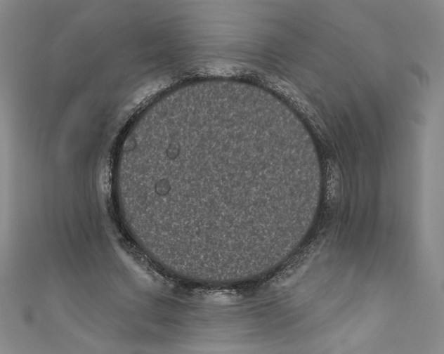 X0000110940683200907171608