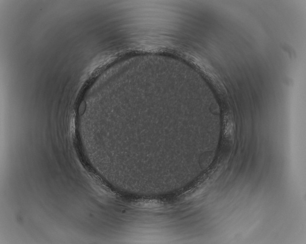 X0000110940685200907171608