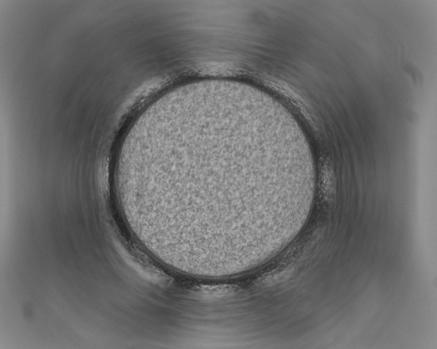 X0000110940686200907171608