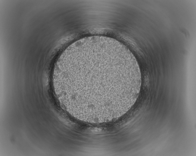 X0000110940687200907171608