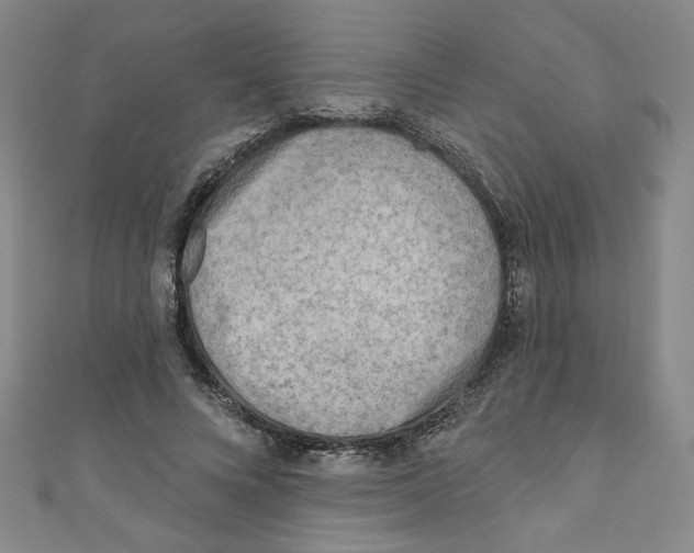 X0000110940688200907171608