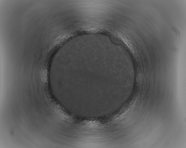 X0000110940689200907171608