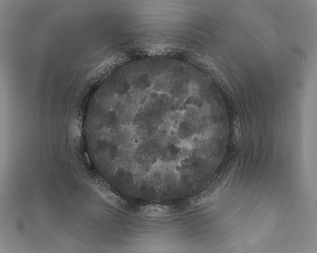 X0000110940691200907171608