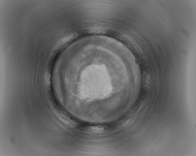 X0000110940692200907171608
