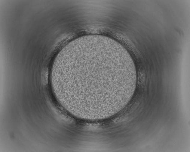 X0000110940694200907171608