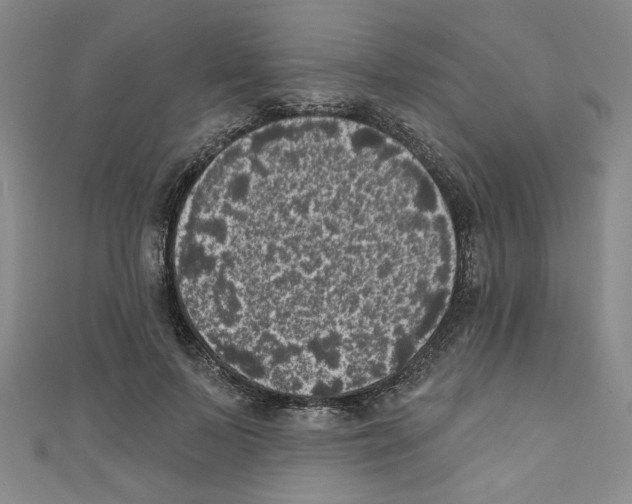 X0000110940695200907171608
