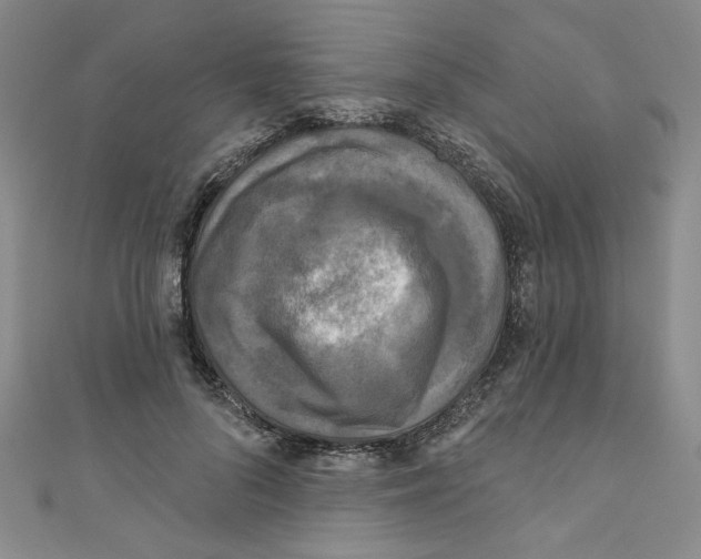 X0000110940696200907171608