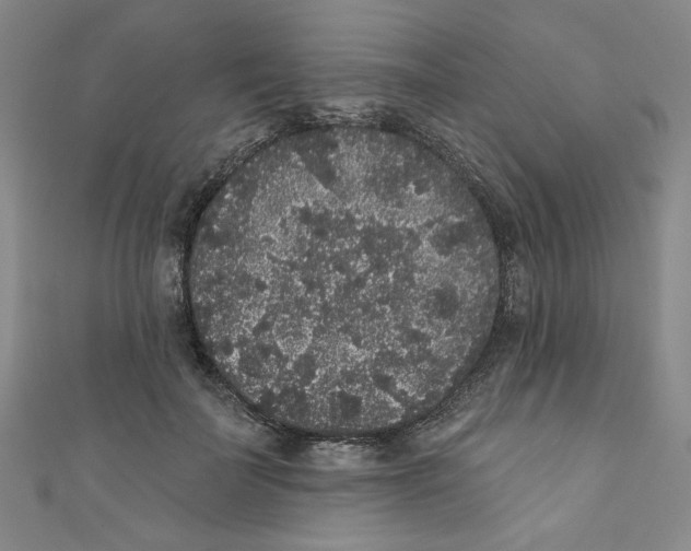 X0000110940699200907171608