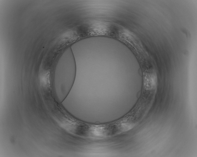 X0000110940701200907171608