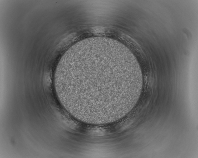 X0000110940702200907171608