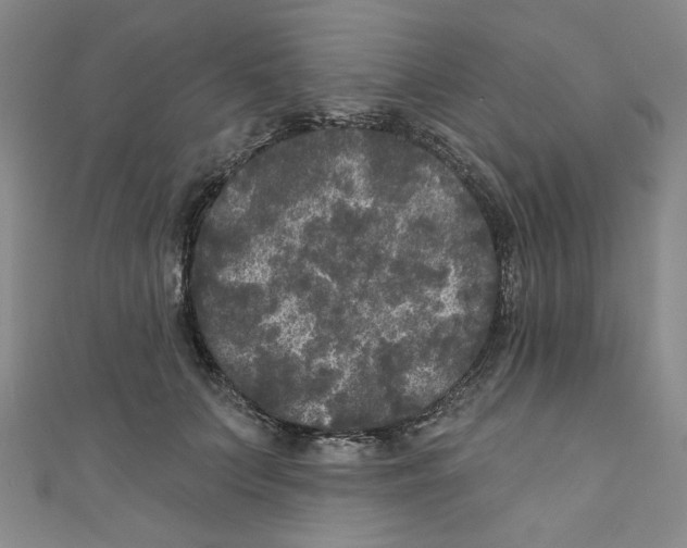 X0000110940703200907171608