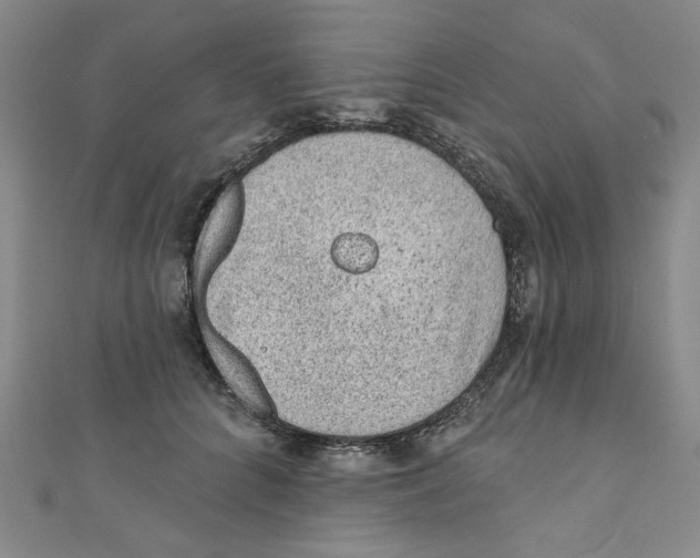 X0000110940704200907171608