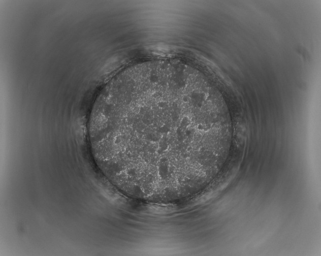 X0000110940707200907171608