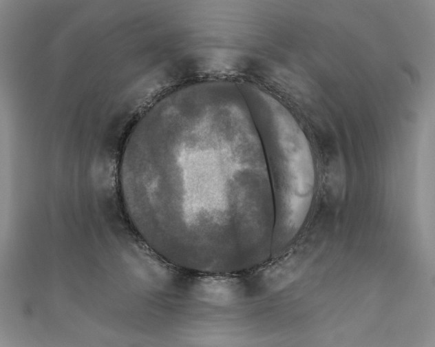 X0000110940708200907171608
