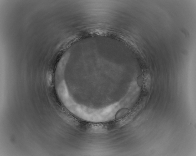 X0000110940709200907171608