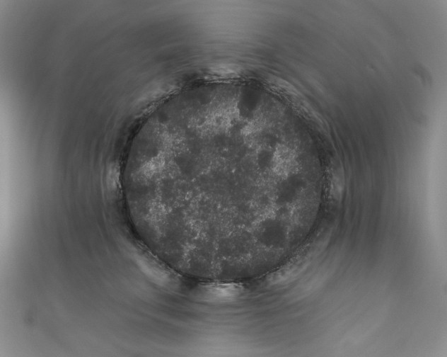 X0000110940711200907171608