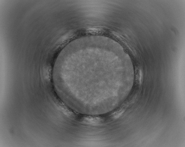 X0000110940712200907171608