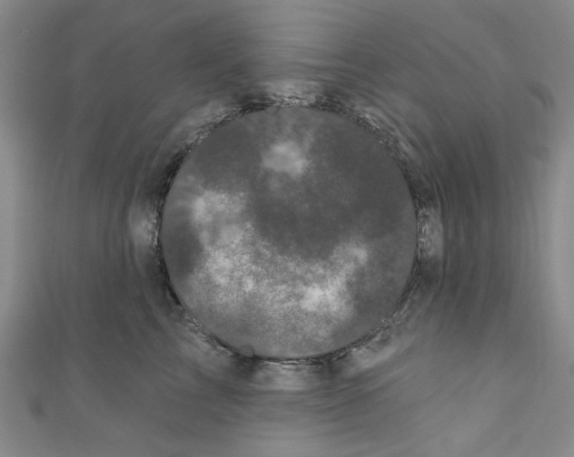 X0000110940713200907171608