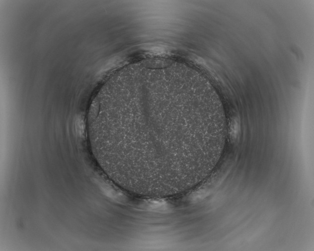 X0000110940715200907171608