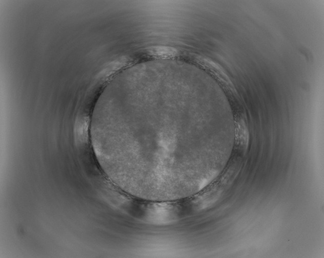 X0000110940717200907171608