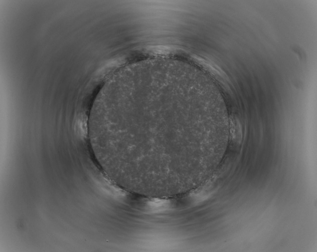 X0000110940718200907171608