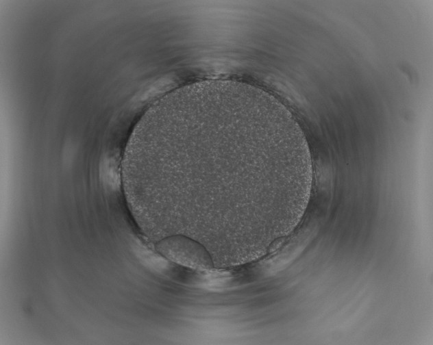 X0000110940719200907171608