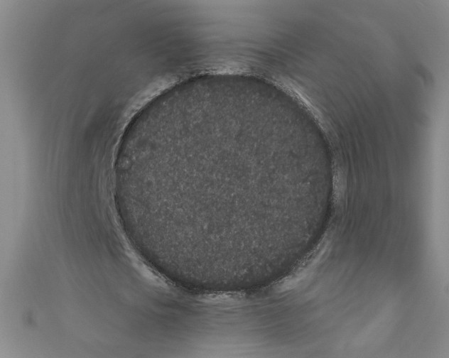 X0000110940721200907171607