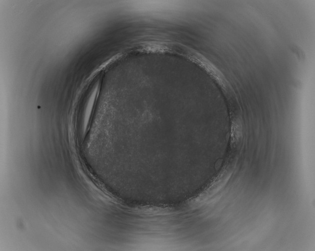 X0000110940722200907171607