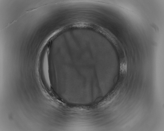 X0000110940724200907171607