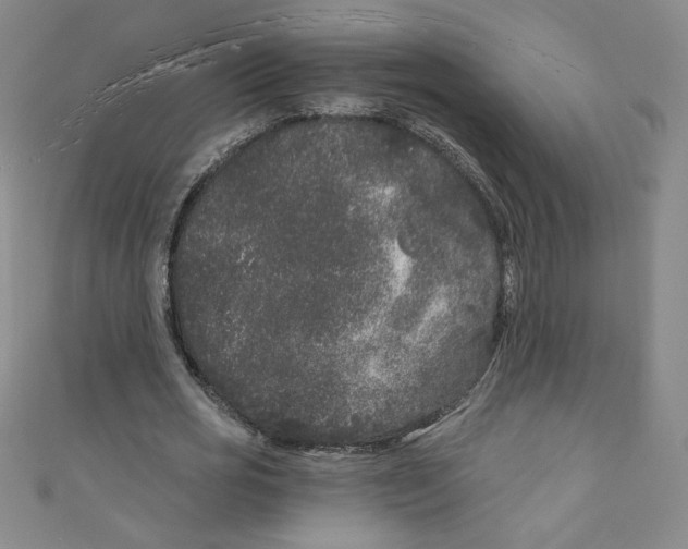 X0000110940725200907171607