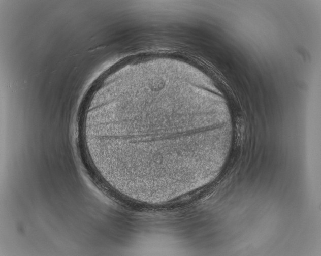 X0000110940726200907171607