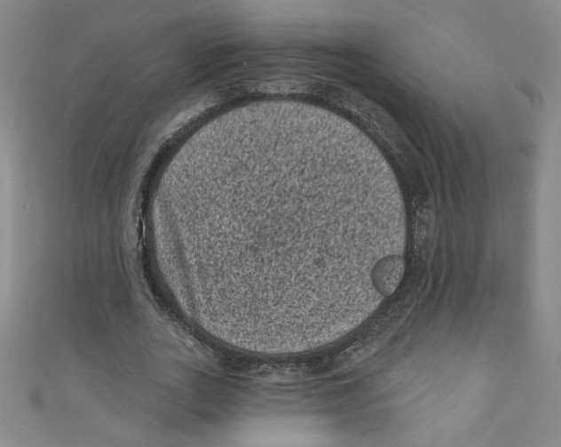 X0000110940727200907171607