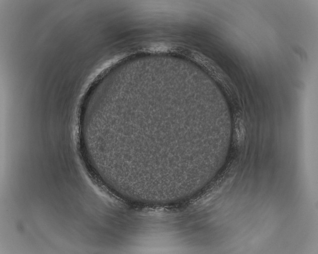 X0000110940728200907171607