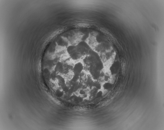 X0000110940729200907171607