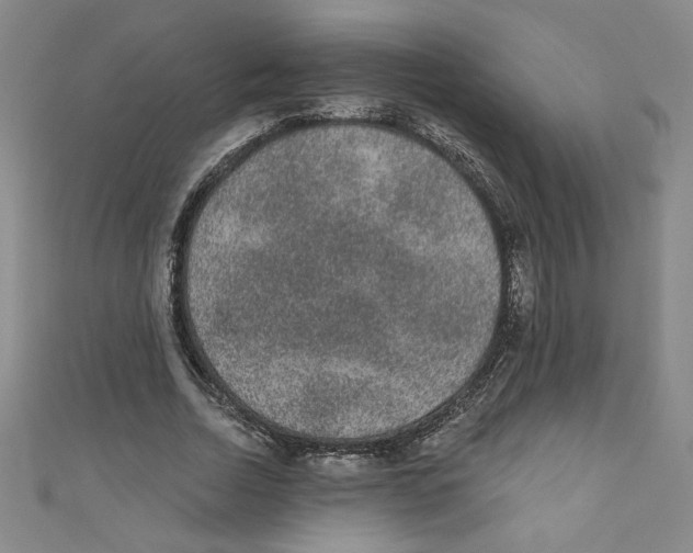 X0000110940730200907171607