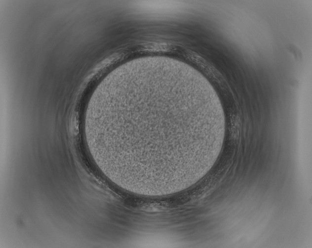 X0000110940731200907171607