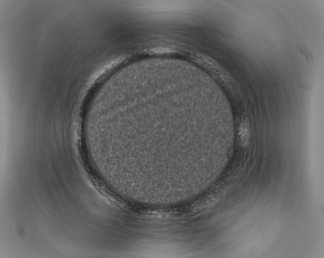 X0000110940732200907171607